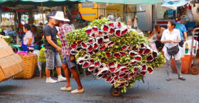 Things To Do In Thailand: Bangkok’s Biggest Flower Market Pak Khlong Talat Thai Local Carries Ton of Roses