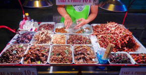 Things to do in Bangkok Insect Eating Love Thai Maak Variety Of Choices